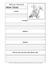 Pflanzensteckbriefvorlage-Enzian-SW.pdf
